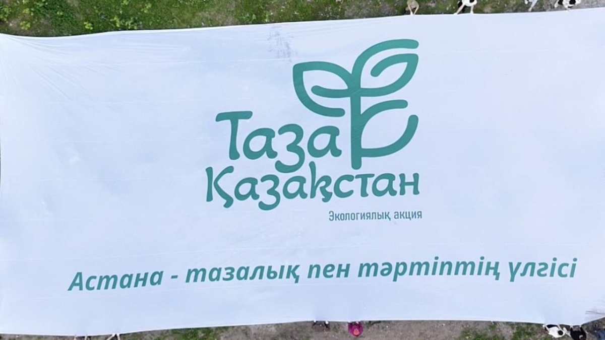 Баннеры